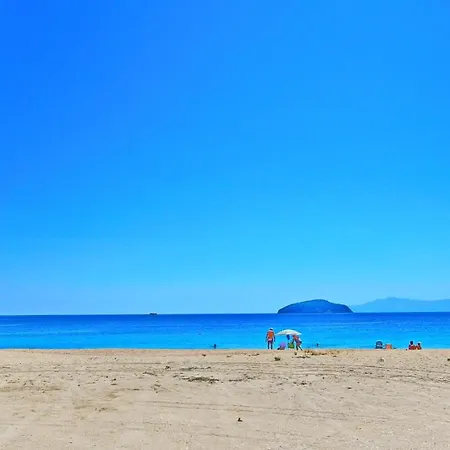 Apartament Starfish *