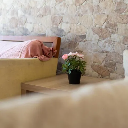 Starfish Apartament Nea Iraklitsa