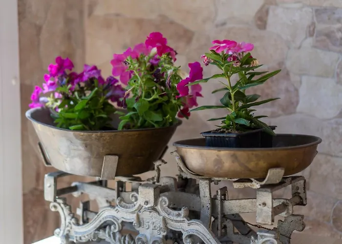 Starfish 公寓 Nea Iraklitsa